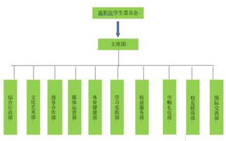 一封来自共青团的信 让大学生活多姿多彩，温职院十二大组织招新启航